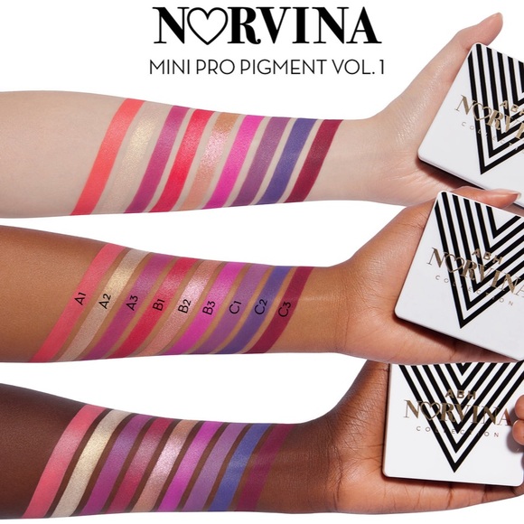 Anastasia Beverly Hills Norvina Mini Pro Pigment Palette - Picture 4 of 5